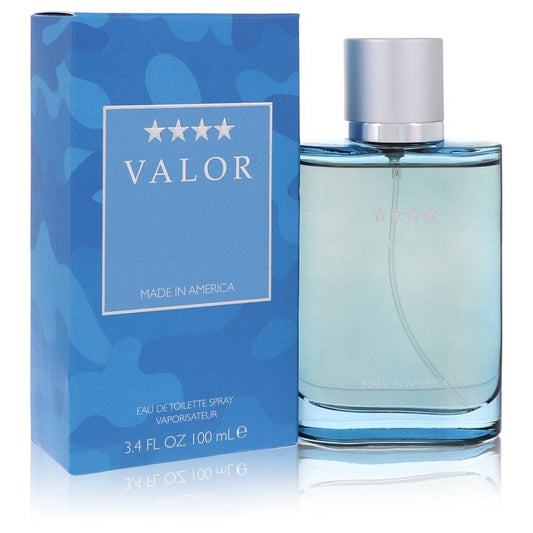 Dana Valor Cologne for Men bottle - Men's aromatic fougère woody fragrance with bergamot, lavender, green herbs, geranium, floral accords, spice, oakmoss, woody notes, musk, and amber